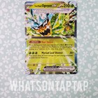 Teal Mask Ogerpon ex