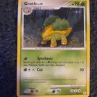 Grotle