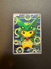 Poncho-Wearing Pikachu 