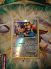 Aipom