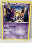 Elite Trainer Box