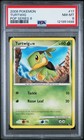 Turtwig