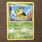 Turtwig