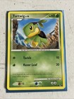 Turtwig