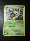 Turtwig