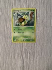 Turtwig