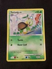 Turtwig