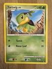 Turtwig