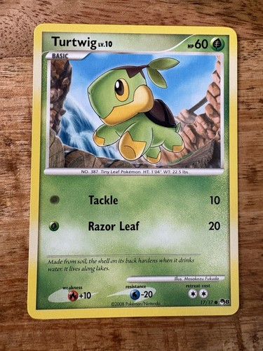 Turtwig