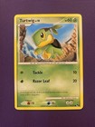 Turtwig