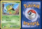 Turtwig
