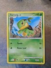 Turtwig