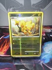 Shinx