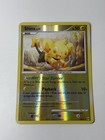 Shinx