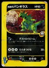 Rocket's Tyranitar