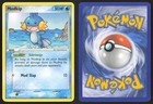 Mudkip