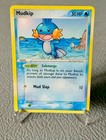 Mudkip