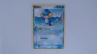 Mudkip