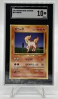 Ponyta
