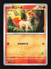 Ponyta