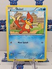 Buizel