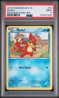 Buizel