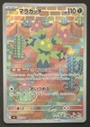 Maractus