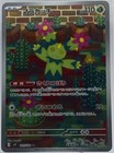 Maractus