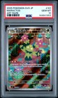Maractus