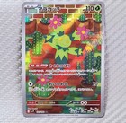 Maractus