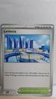 Levincia