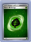 Basic Grass Energy