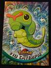 Caterpie