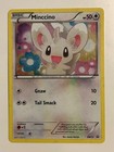 Minccino