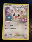 Minccino