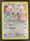 Minccino