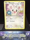 Minccino