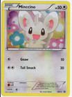 Minccino