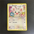 Minccino
