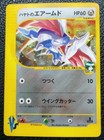 Falkner's Skarmory
