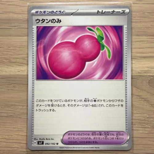 Payapa Berry