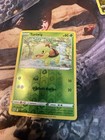 Turtwig