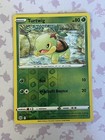 Turtwig