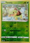 Turtwig