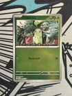 Chikorita