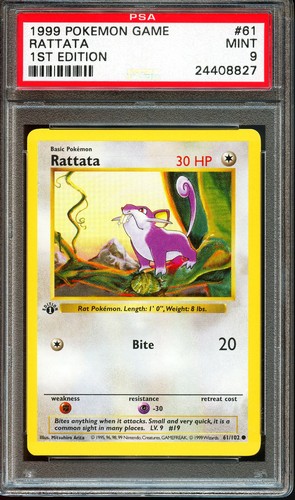 Rattata
