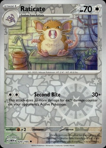 Raticate