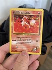 Blaine's Growlithe