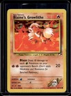 Blaine's Growlithe
