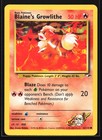 Blaine's Growlithe